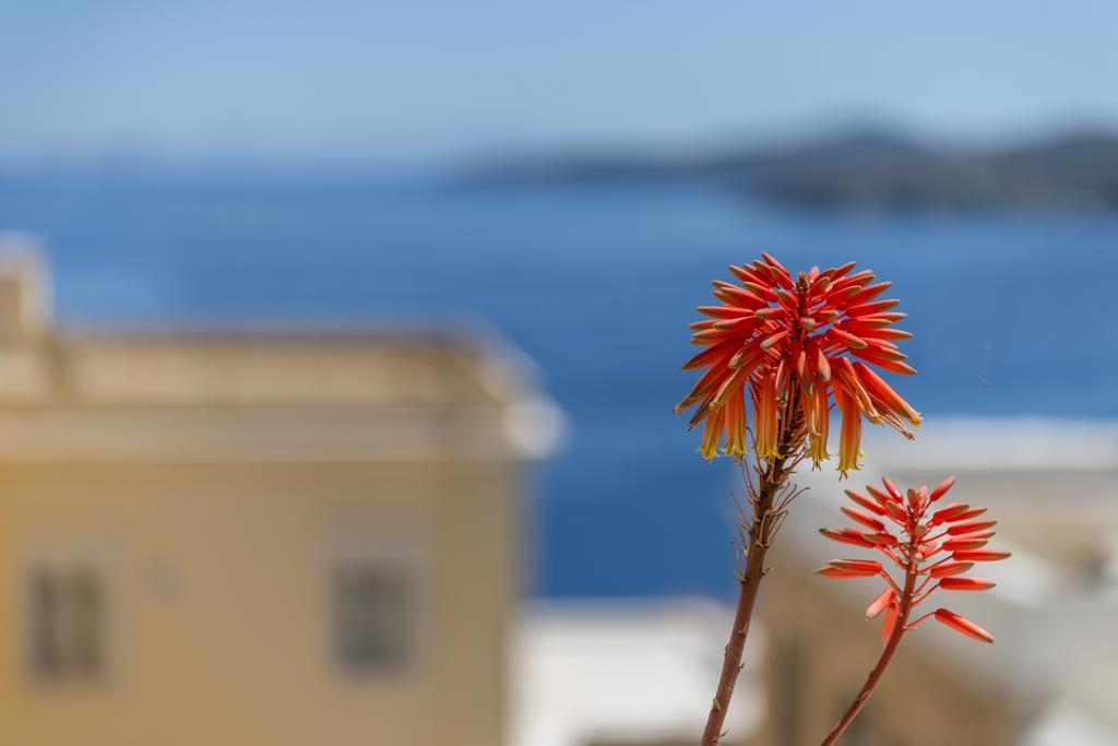 Veranda Syros House إرموبولّي المظهر الخارجي الصورة